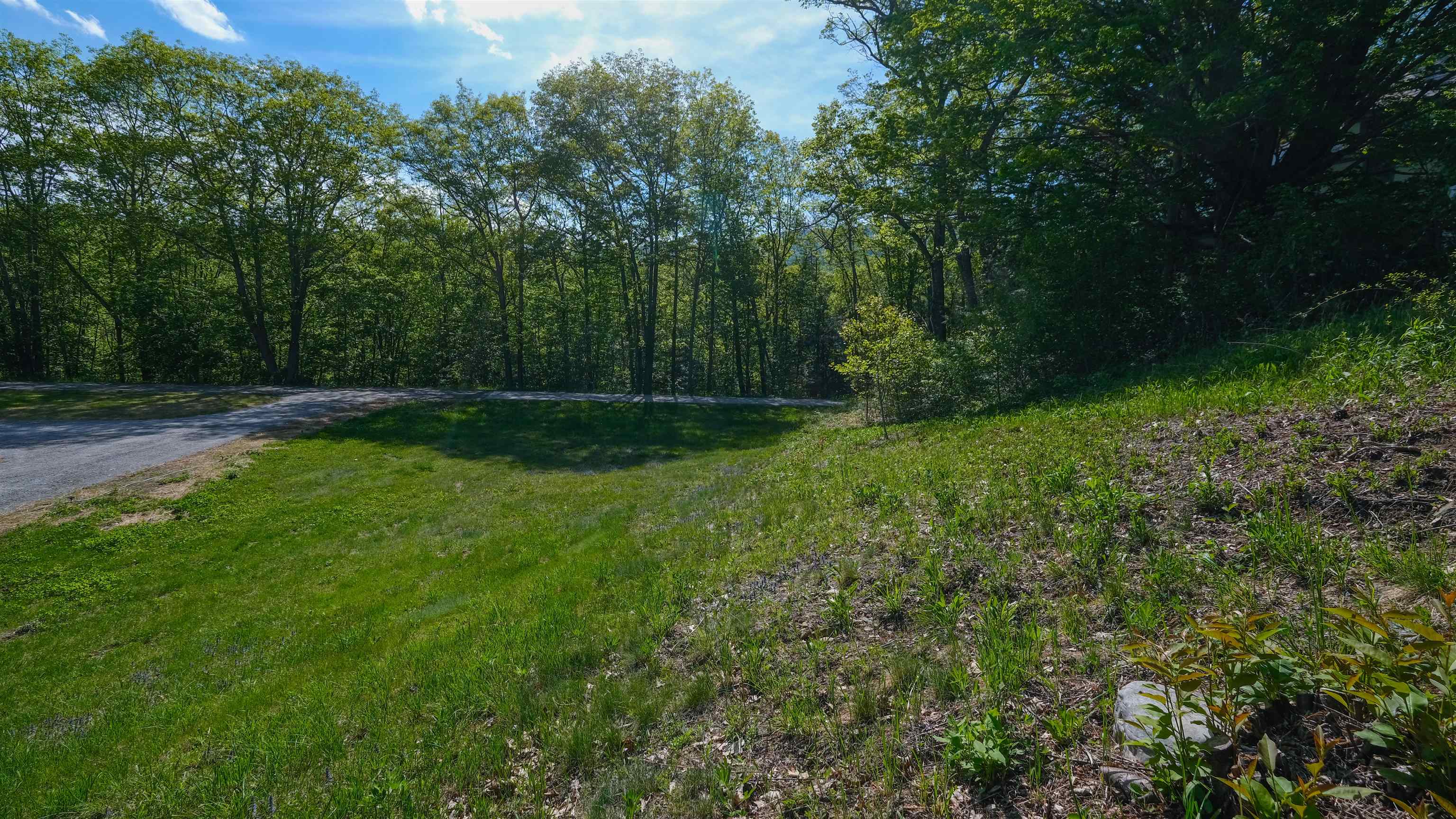 0 Prospect Street, Unit 3 Ludlow, VT 05149 - Photo 6 of 31