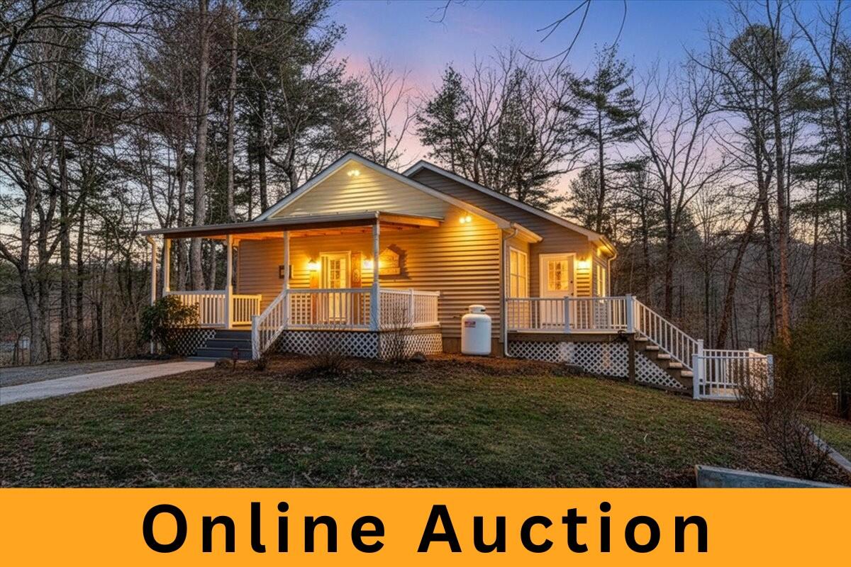Online Auction