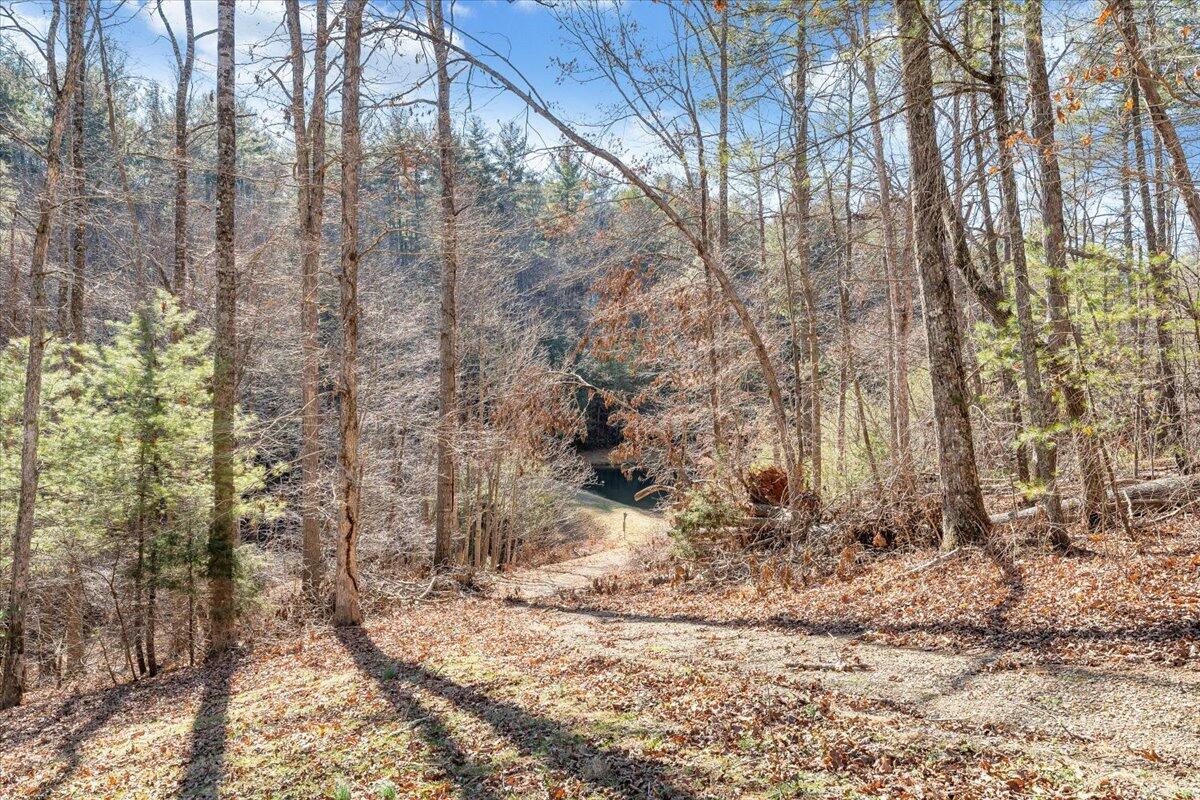 365 Isolane Road Callaway, VA 24067 - Photo 39 of 104 a view of a yard covered with snow