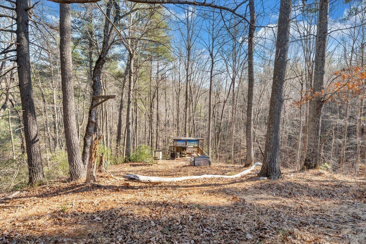 365 Isolane Road Callaway, VA 24067 - Photo 41 of 104 048-MIB03303