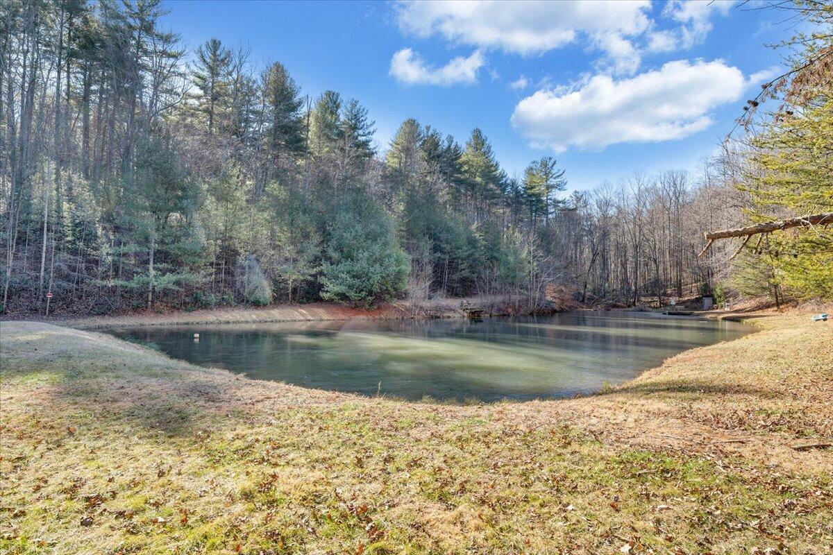 365 Isolane Road Callaway, VA 24067 - Photo 46 of 104 a view of swimming pool with trees in the background