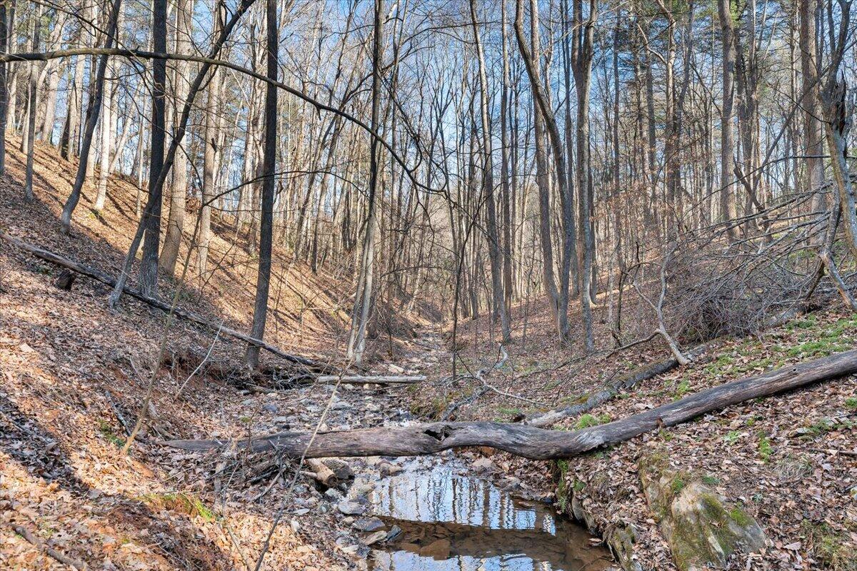 365 Isolane Road Callaway, VA 24067 - Photo 50 of 104 a backyard of a house with large trees and wooden fence