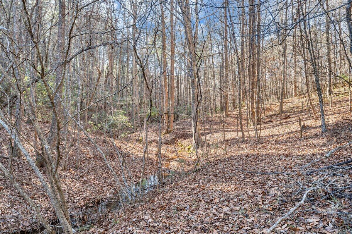 365 Isolane Road Callaway, VA 24067 - Photo 57 of 104 065-MIB03363