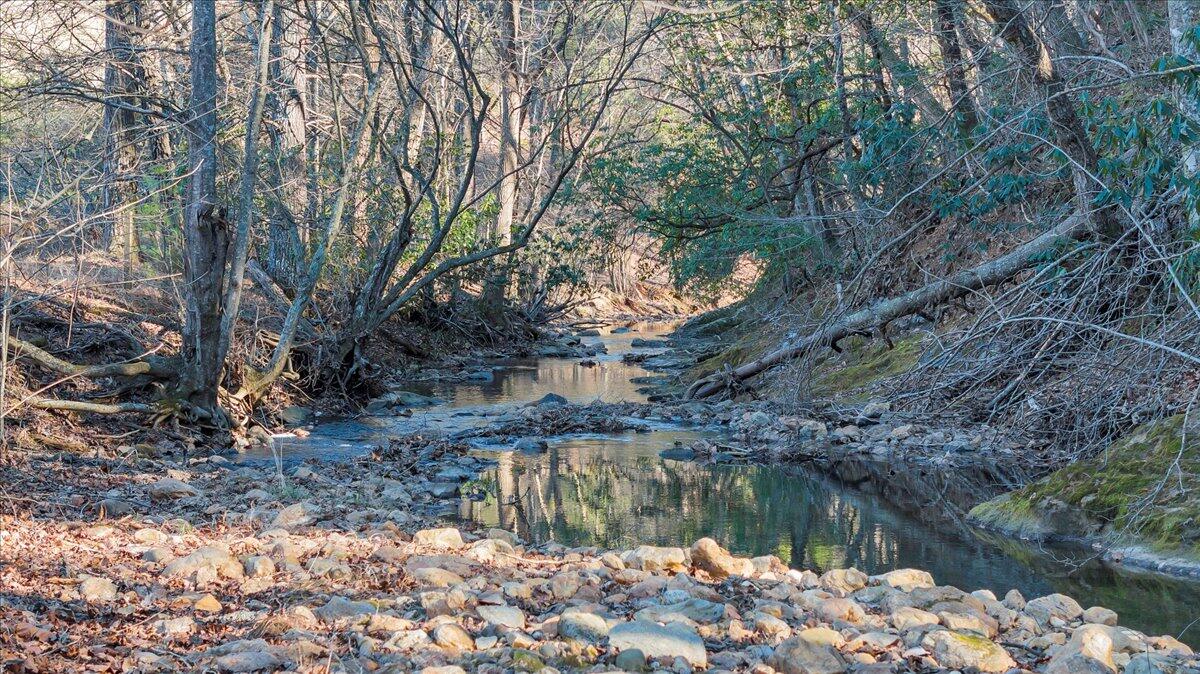 365 Isolane Road Callaway, VA 24067 - Photo 98 of 104 a backyard of a house with lots of green space