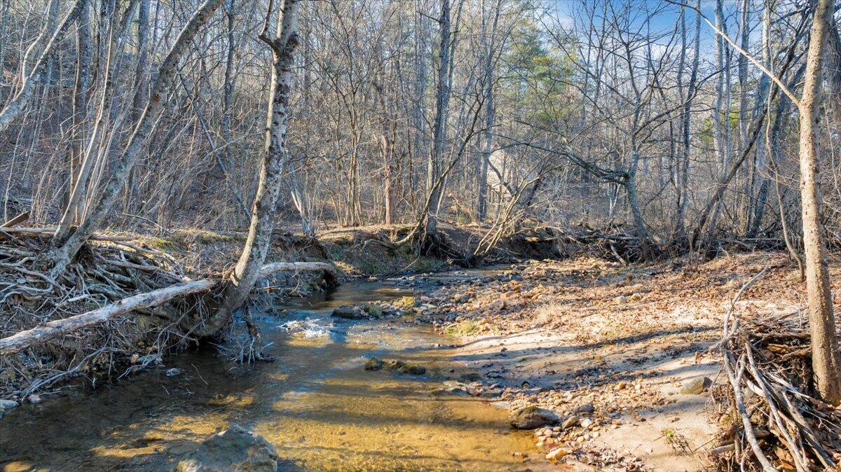 365 Isolane Road Callaway, VA 24067 - Photo 100 of 104 108-DJI_20260120025352_0202_D