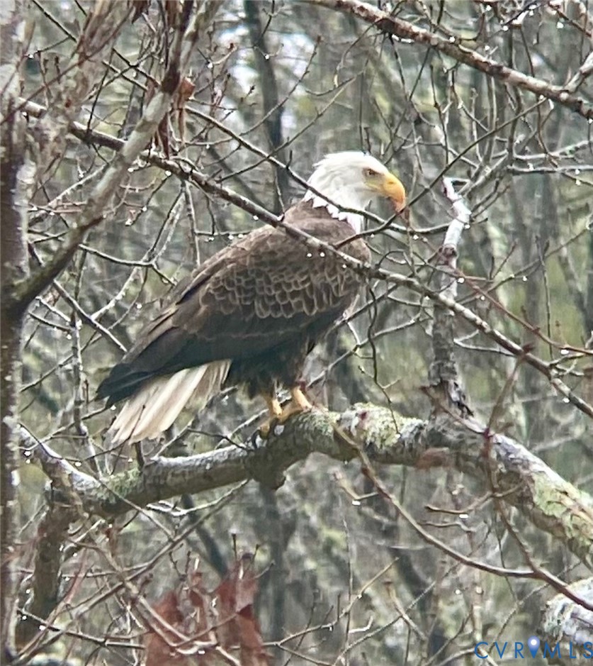 4042 Cambrian Circle Midlothian, VA 23112 - Photo 31 of 37 Homeowner photo