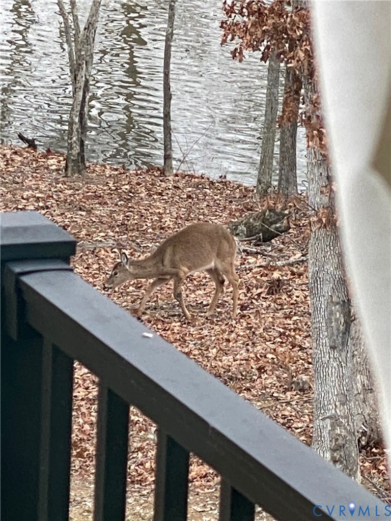 4042 Cambrian Circle Midlothian, VA 23112 - Photo 32 of 37 Homeowner photo