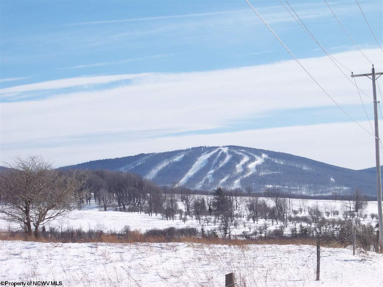 6 Deer Run Road Davis, WV 26260 - Photo 15 of 20 Gallery Image 15