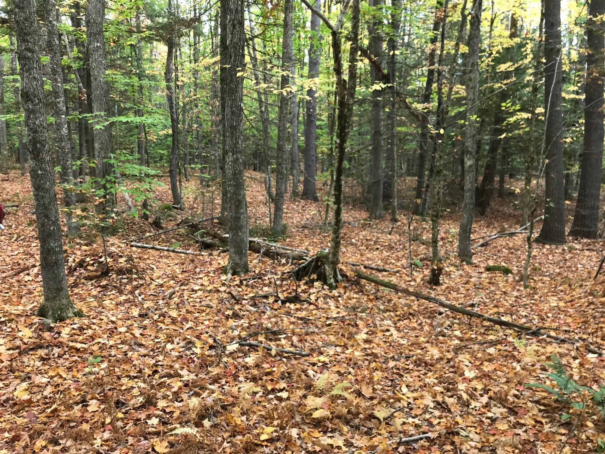 0 Spring Road West Newfield, ME 04095 - Photo 5 of 17 2