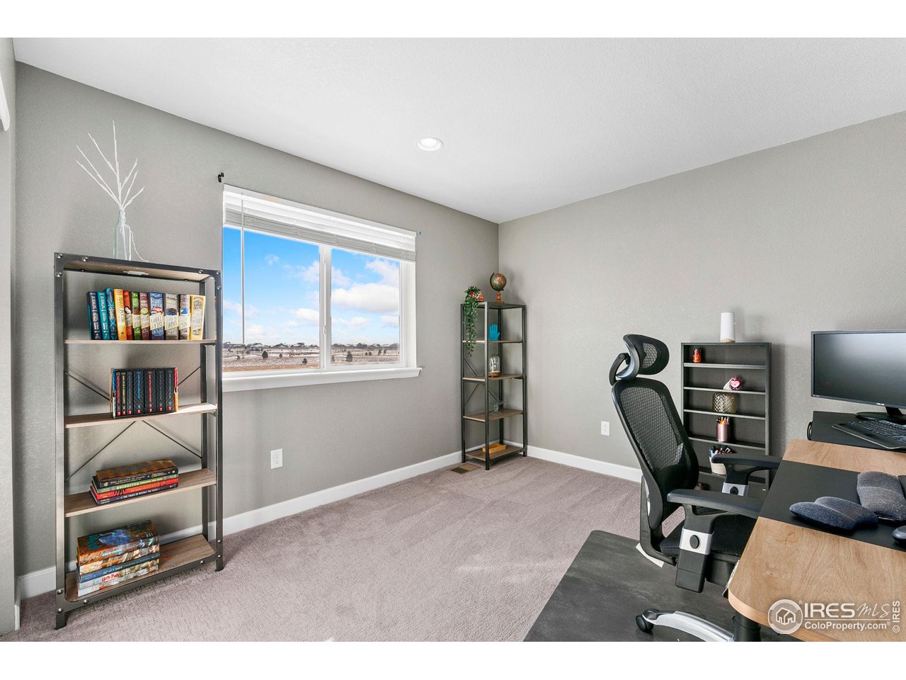 5231 Osbourne Drive Windsor, CO 80550 - Photo 14 of 20 a view of workspace with furniture
