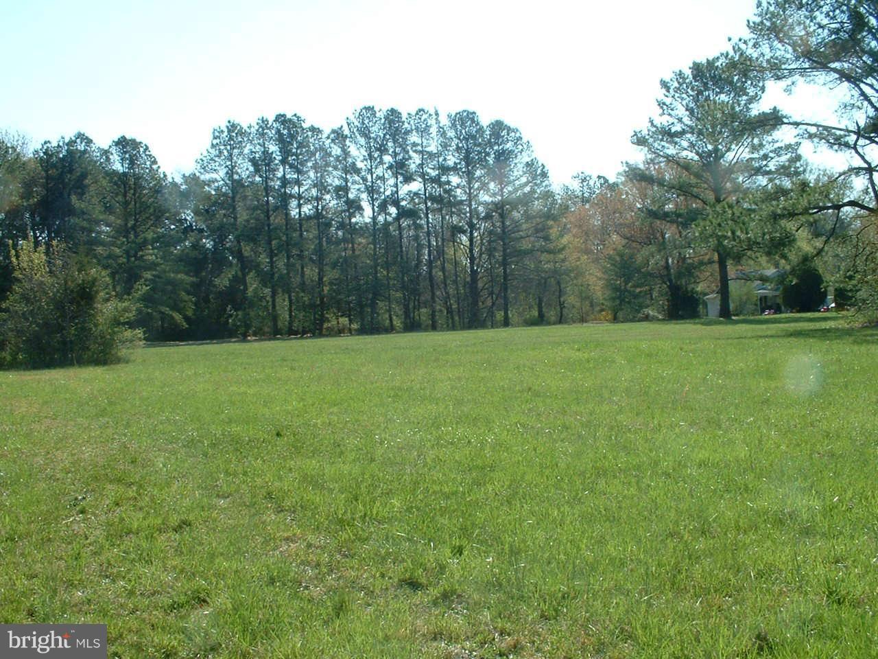 354 McCarty Road Fredericksburg, VA 22405 - Photo 1 of 1 Exterior (General)