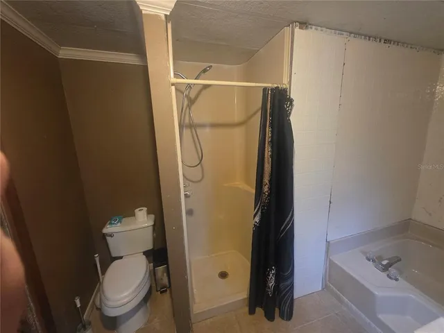 a bathroom with a shower and a toilet