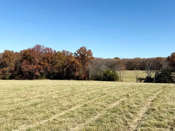 $249,000 | Tbd South Tbd S J Highway, Stockton, MO 65785