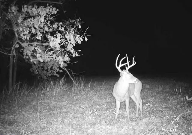 $249,000 | Tbd South Tbd S J Highway, Stockton, MO 65785