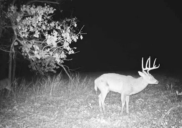 $249,000 | Tbd South Tbd S J Highway, Stockton, MO 65785