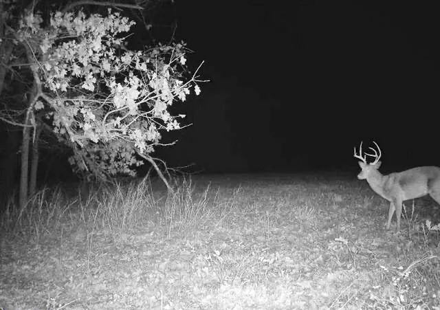 $249,000 | Tbd South Tbd S J Highway, Stockton, MO 65785