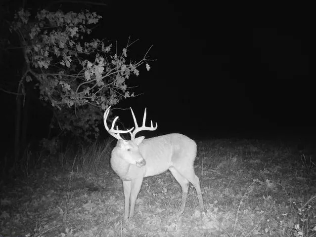 $249,000 | Tbd South Tbd S J Highway, Stockton, MO 65785