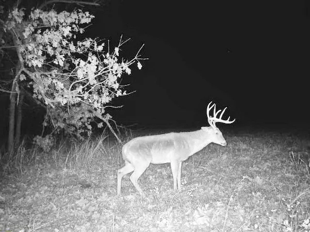 $249,000 | Tbd South Tbd S J Highway, Stockton, MO 65785