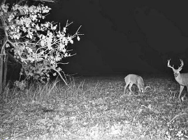 $249,000 | Tbd South Tbd S J Highway, Stockton, MO 65785