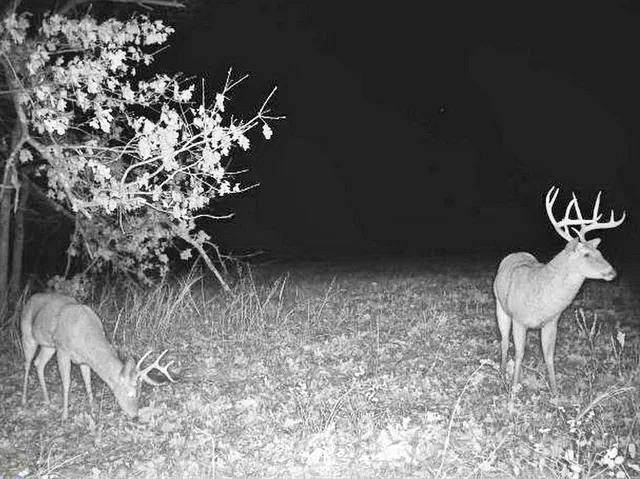 $249,000 | Tbd South Tbd S J Highway, Stockton, MO 65785