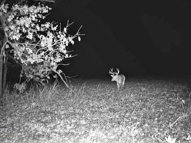 $249,000 | Tbd South Tbd S J Highway, Stockton, MO 65785