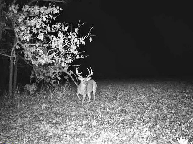 $249,000 | Tbd South Tbd S J Highway, Stockton, MO 65785