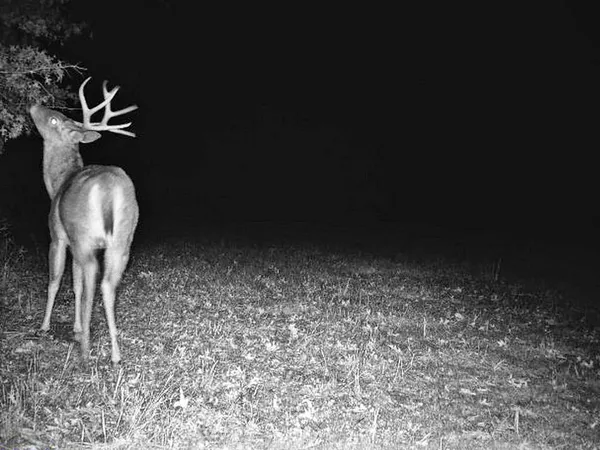 $249,000 | Tbd South Tbd S J Highway, Stockton, MO 65785