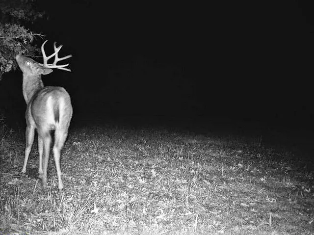 $249,000 | Tbd South Tbd S J Highway, Stockton, MO 65785