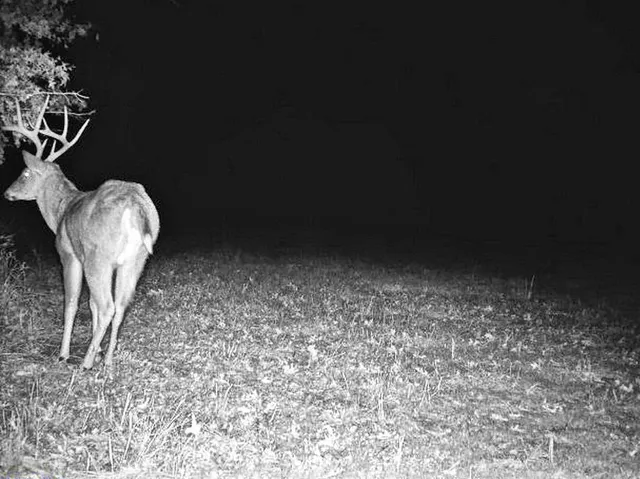 $249,000 | Tbd South Tbd S J Highway, Stockton, MO 65785