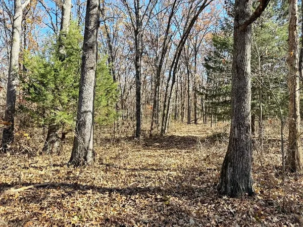 $249,000 | Tbd South Tbd S J Highway, Stockton, MO 65785