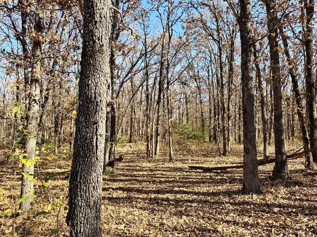 $249,000 | Tbd South Tbd S J Highway, Stockton, MO 65785