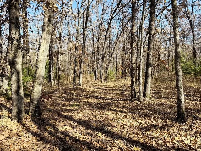 $249,000 | Tbd South Tbd S J Highway, Stockton, MO 65785