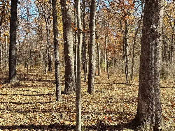 $249,000 | Tbd South Tbd S J Highway, Stockton, MO 65785