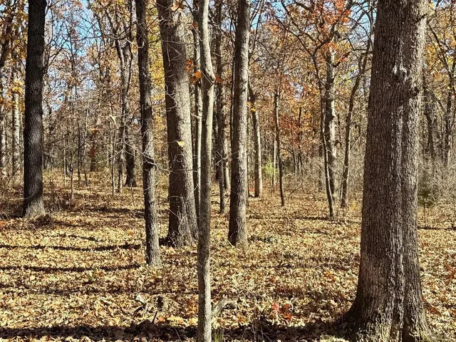 $249,000 | Tbd South Tbd S J Highway, Stockton, MO 65785