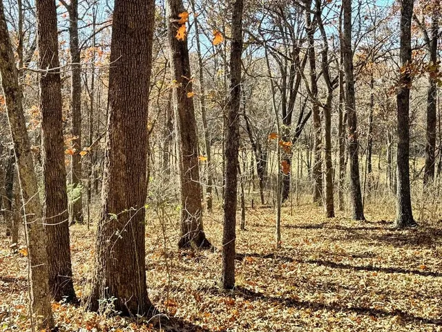 $249,000 | Tbd South Tbd S J Highway, Stockton, MO 65785