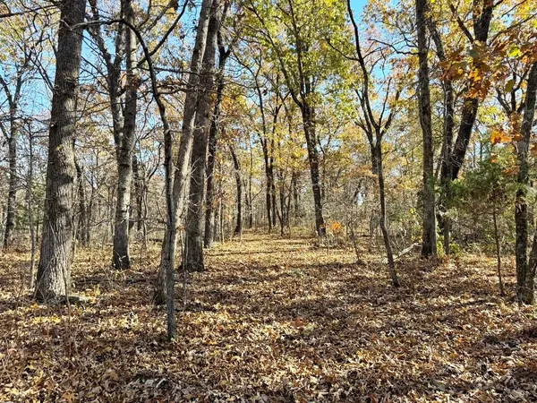 $249,000 | Tbd South Tbd S J Highway, Stockton, MO 65785