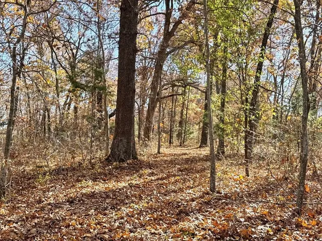 $249,000 | Tbd South Tbd S J Highway, Stockton, MO 65785