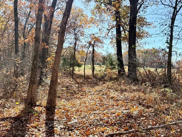 $249,000 | Tbd South Tbd S J Highway, Stockton, MO 65785