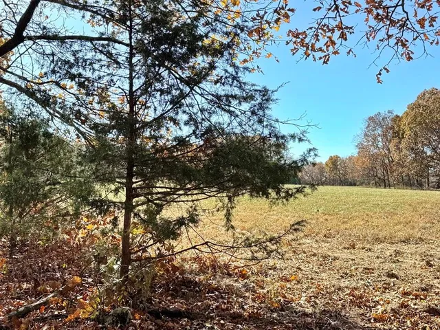 $249,000 | Tbd South Tbd S J Highway, Stockton, MO 65785