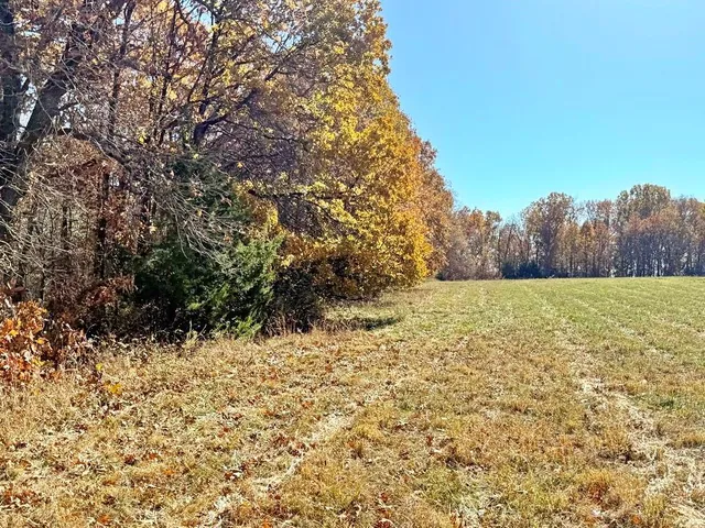 $249,000 | Tbd South Tbd S J Highway, Stockton, MO 65785