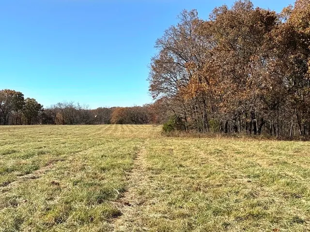 $249,000 | Tbd South Tbd S J Highway, Stockton, MO 65785