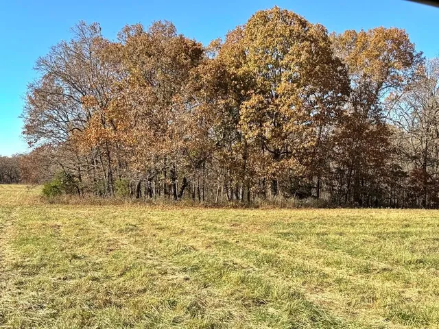 $249,000 | Tbd South Tbd S J Highway, Stockton, MO 65785