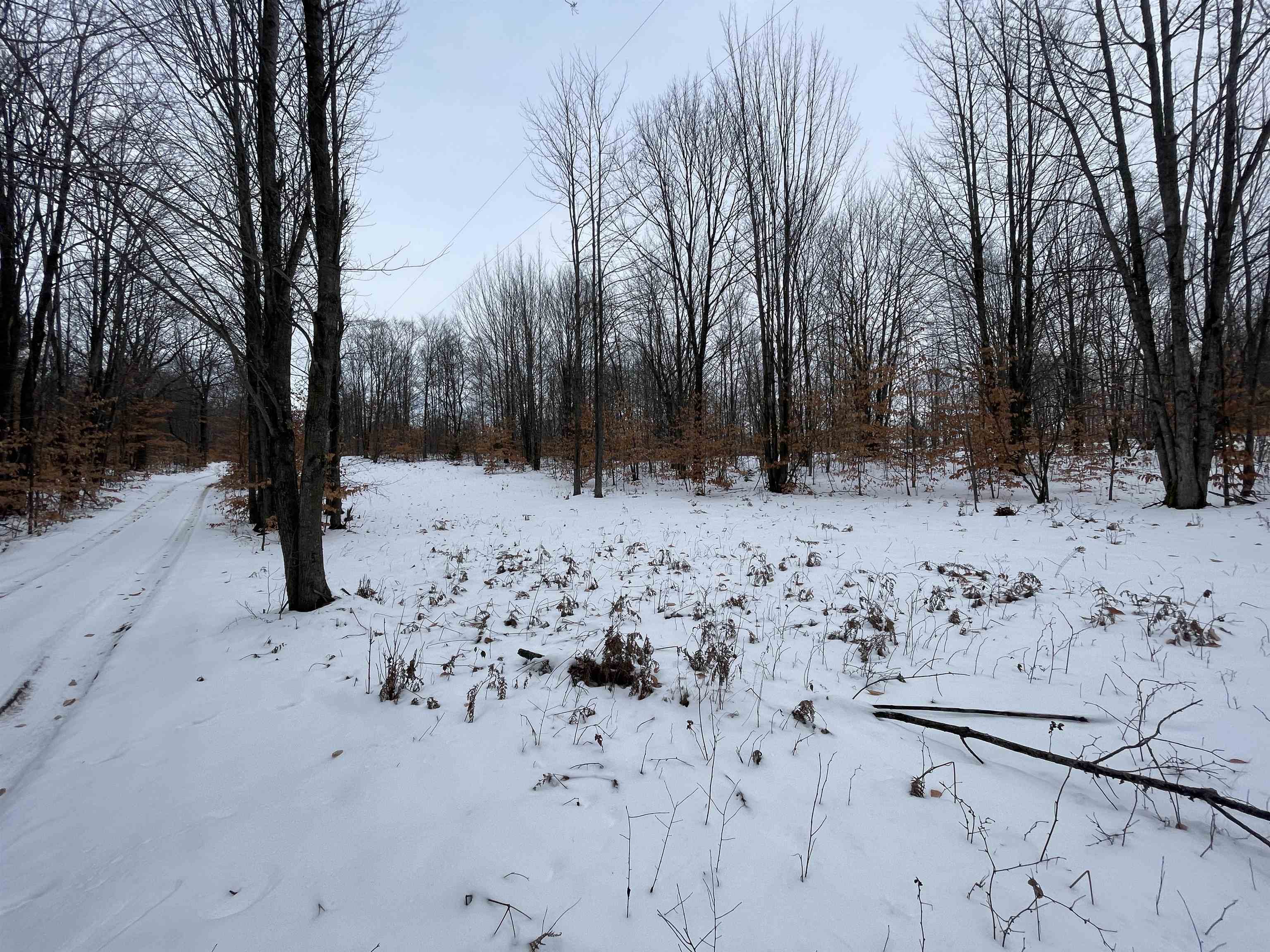 North Turnerville Road Lake City, MI 49651 - Photo 2 of 7