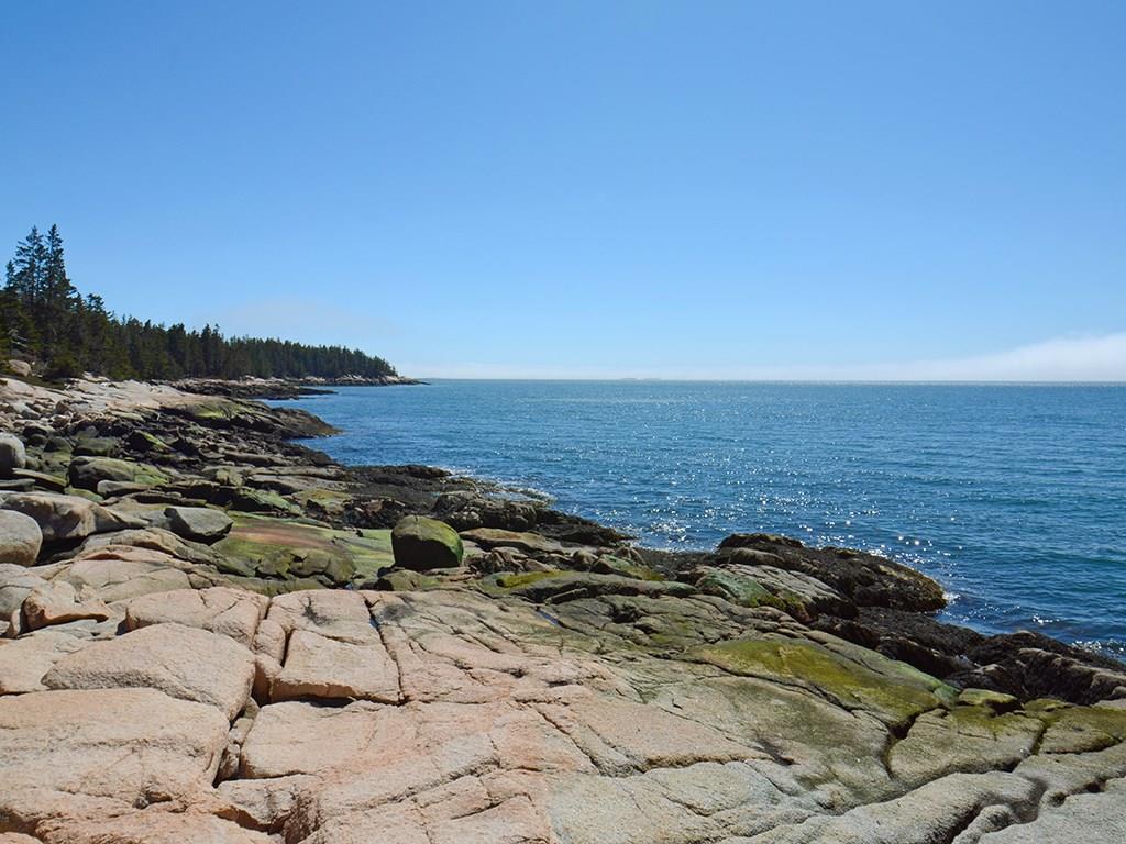 555 Jericho Bay Road Swans Island, ME 04685 - Photo 35 of 35 Your bit of the Maine coast.