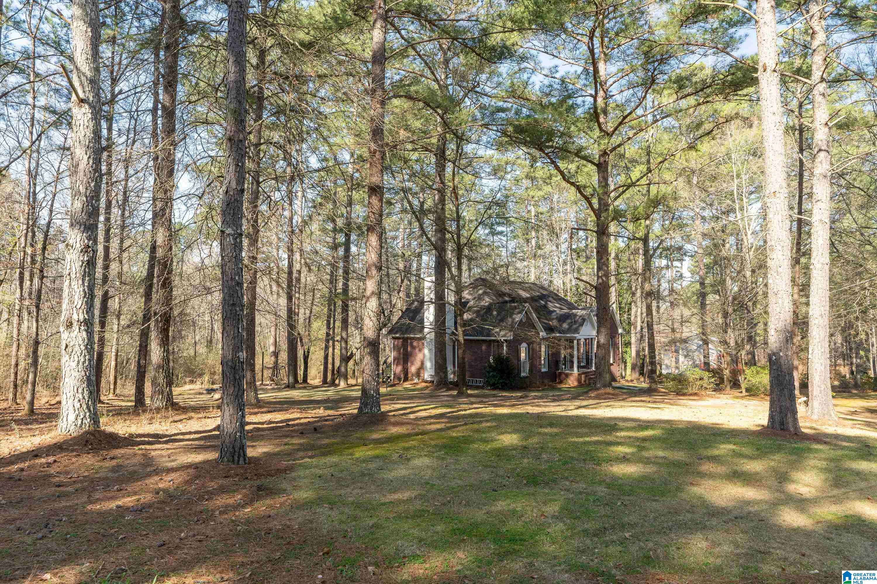 8970 Marsh Mountain Road Pinson, AL 35126 - Photo 3 of 48