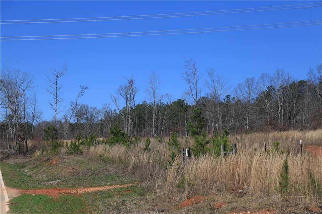 11 Old Driver Road, Whitesburg, GA 30185 Compass