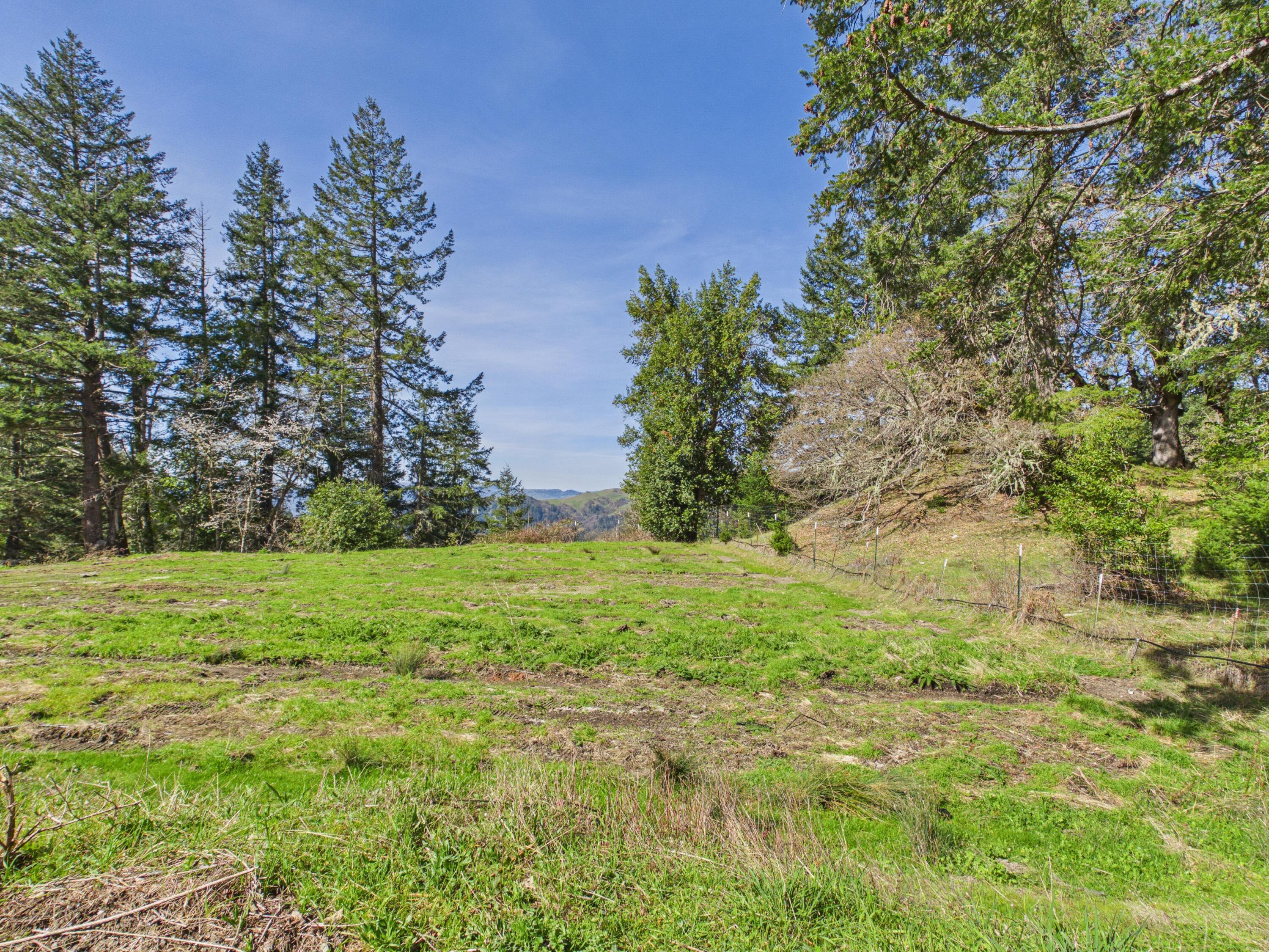 140 Old Bluff Road Zenia, CA 95595 - Photo 37 of 52