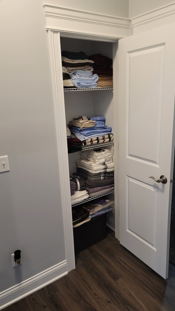 1919 Truman Street Sycamore, IL 60178 - Photo 38 of 50 a walk in closet with wooden floor