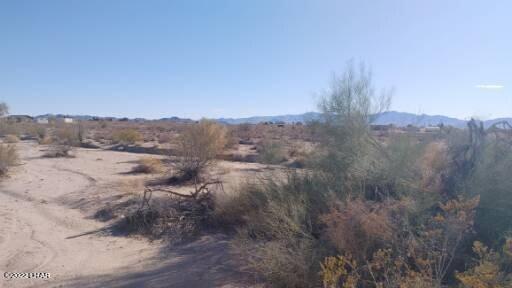 15 Frontage Road Yucca, AZ 86438 - Photo 15 of 18 2069
