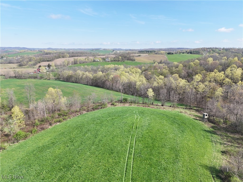 176 Township Road Fresno, OH 43824 - Photo 7 of 15 Gallery Image 7